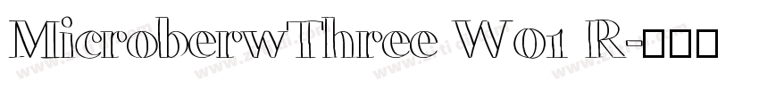 MicroberwThree W01 R字体转换